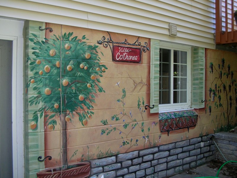 Murals and Faux Finishes - Meme Hill Studio - Interior Designer/Blogger